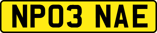 NP03NAE