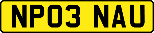 NP03NAU