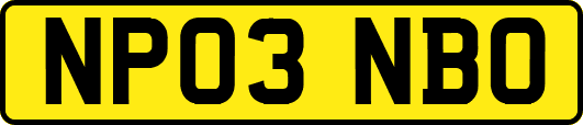 NP03NBO