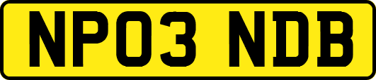 NP03NDB