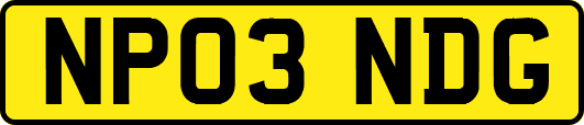 NP03NDG