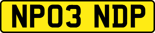 NP03NDP