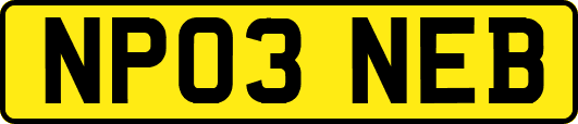 NP03NEB