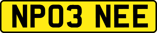 NP03NEE