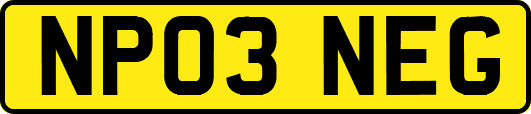 NP03NEG
