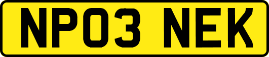 NP03NEK