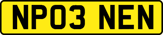NP03NEN
