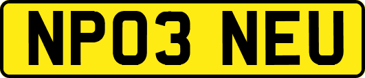 NP03NEU