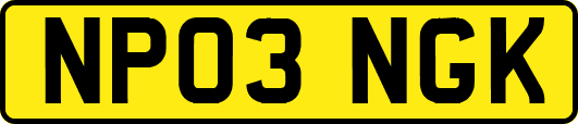 NP03NGK