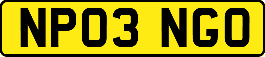 NP03NGO