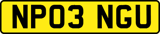 NP03NGU