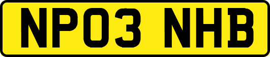 NP03NHB