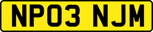 NP03NJM