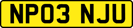 NP03NJU