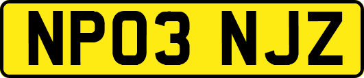 NP03NJZ