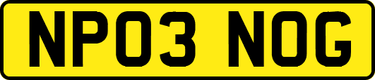 NP03NOG
