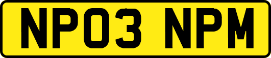 NP03NPM