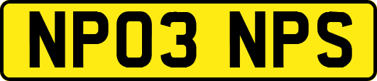 NP03NPS