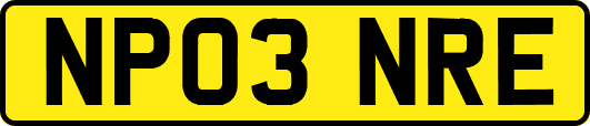 NP03NRE