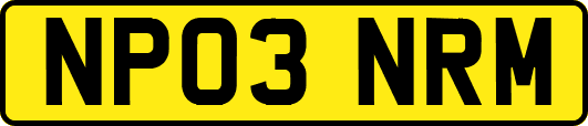 NP03NRM