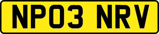 NP03NRV