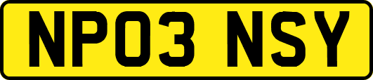NP03NSY