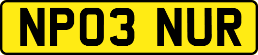 NP03NUR