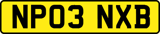 NP03NXB