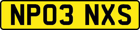 NP03NXS