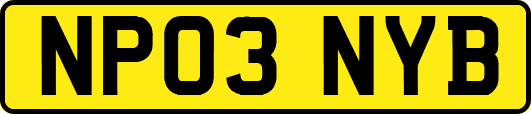 NP03NYB