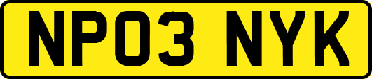 NP03NYK