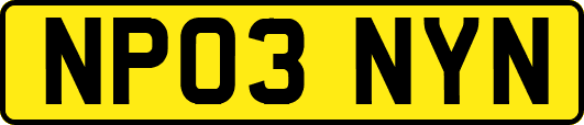 NP03NYN