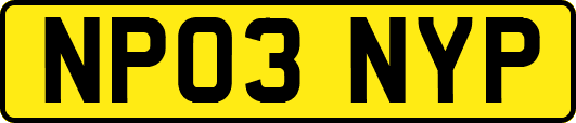 NP03NYP