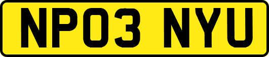 NP03NYU
