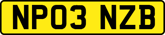 NP03NZB