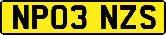 NP03NZS