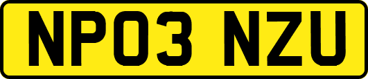 NP03NZU