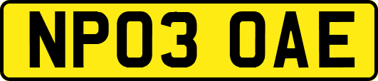 NP03OAE