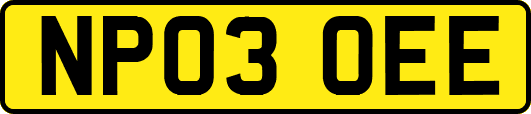 NP03OEE