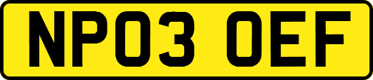 NP03OEF