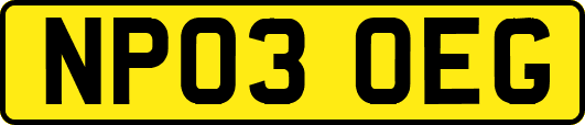 NP03OEG