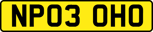 NP03OHO
