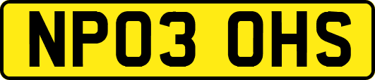 NP03OHS