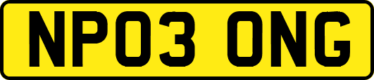 NP03ONG