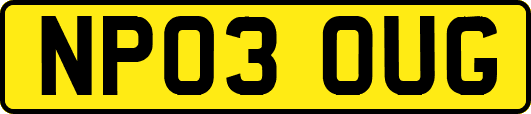NP03OUG