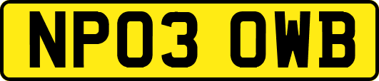 NP03OWB