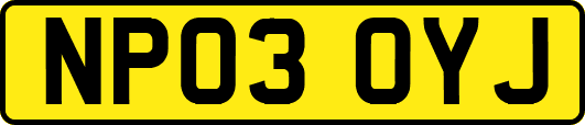 NP03OYJ