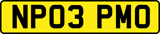 NP03PMO