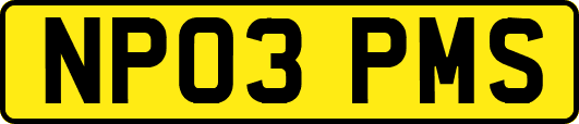 NP03PMS