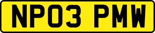 NP03PMW